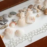 Stella Marina